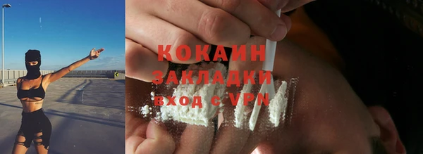 шишки Балабаново