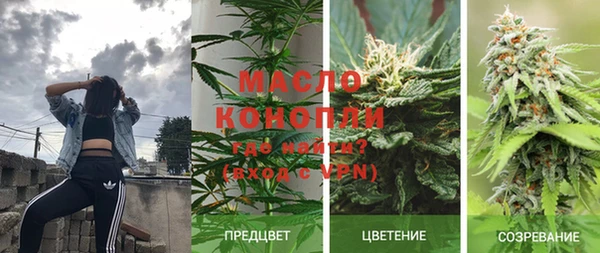 шишки Балабаново