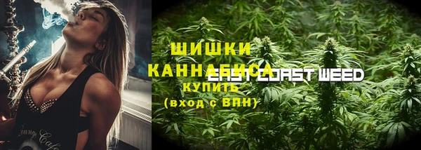 шишки Балабаново